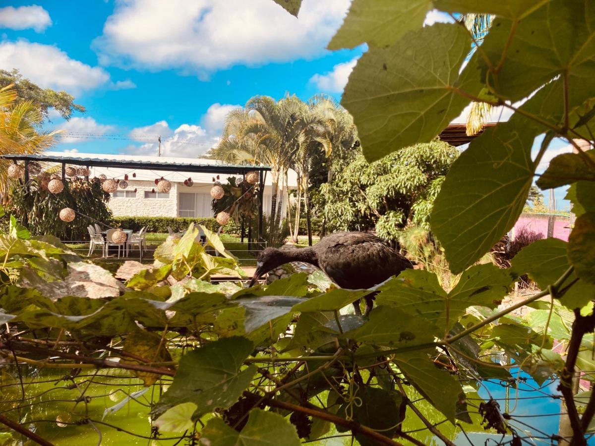 Villa Cristal Santa Elena  Екстер'єр фото